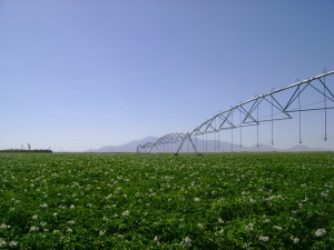 center pivot sulama
