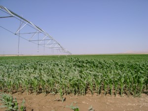 center pivot mısır sulaması atlantis