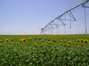 atlantis kıfsal kakınma hibe destekli center pivot irrigation
