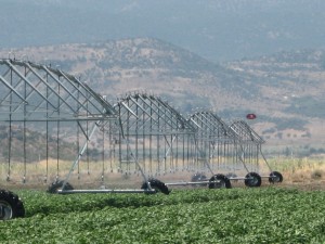 Atlantis Center Pivot Kırsal Kalkınma Hibe desteği