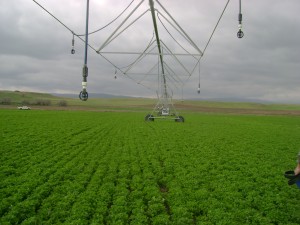 Atlantis Center Pivot, Pivot Irrigation, Center Pivot Irrigation Turkey