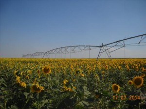 обработке большего количества гектаров с помощью одной круговой