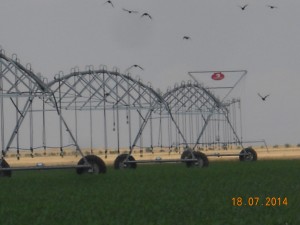 DSCN1088