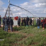Tigem Ceylanpınar İşletmesi
