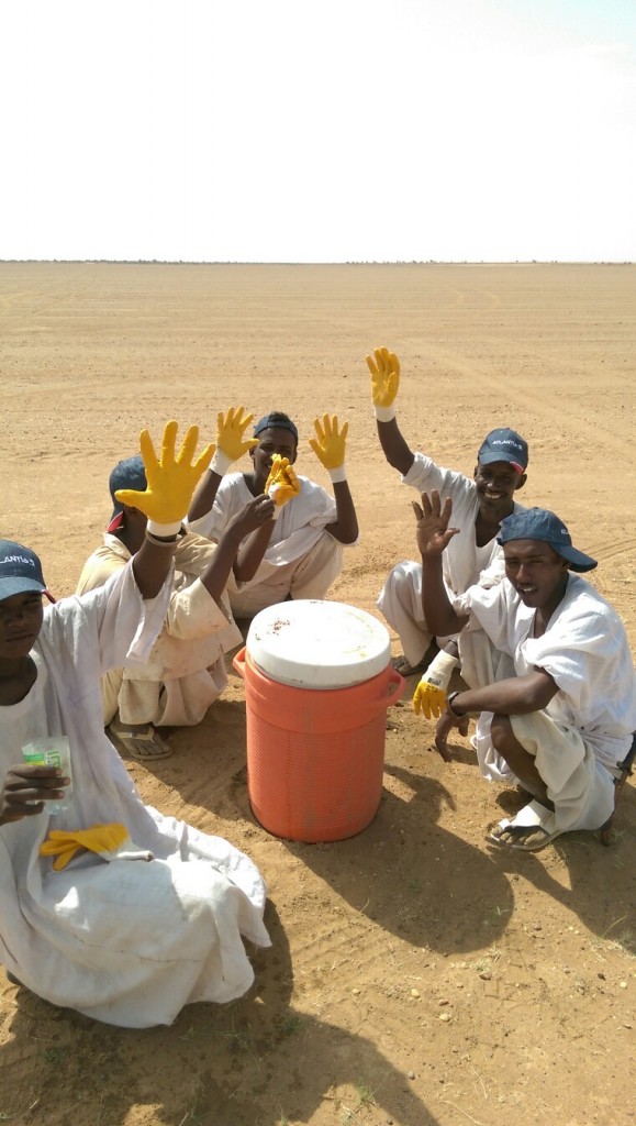 Irrigation system at Sudan with Atlantis Pivot