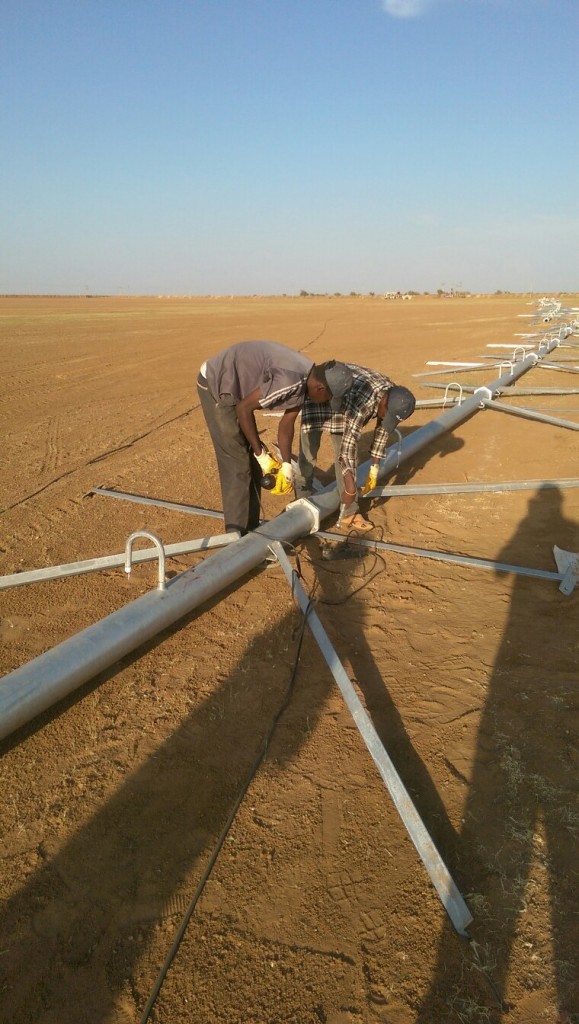 pivot Irrigation at Sudan with Atlantis Pivot, alfaalfa Center Pivot, Hay Irrigation, Crop Irrigation