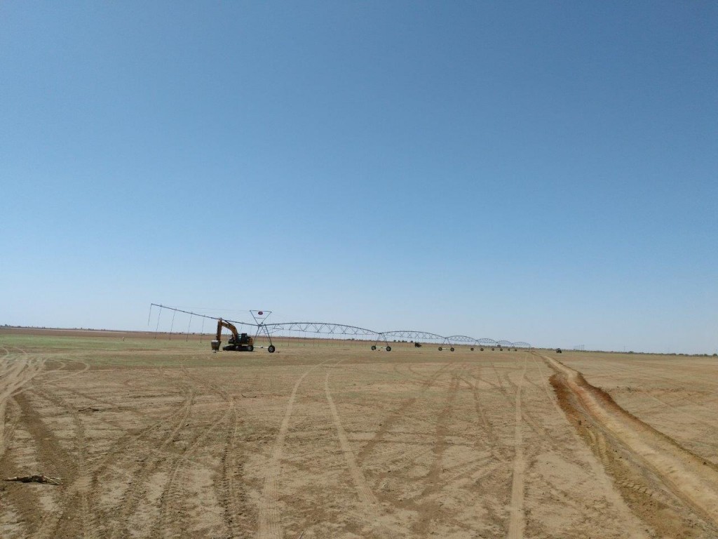 pivot sulama, Sudan çölü, Yonca sulaması
