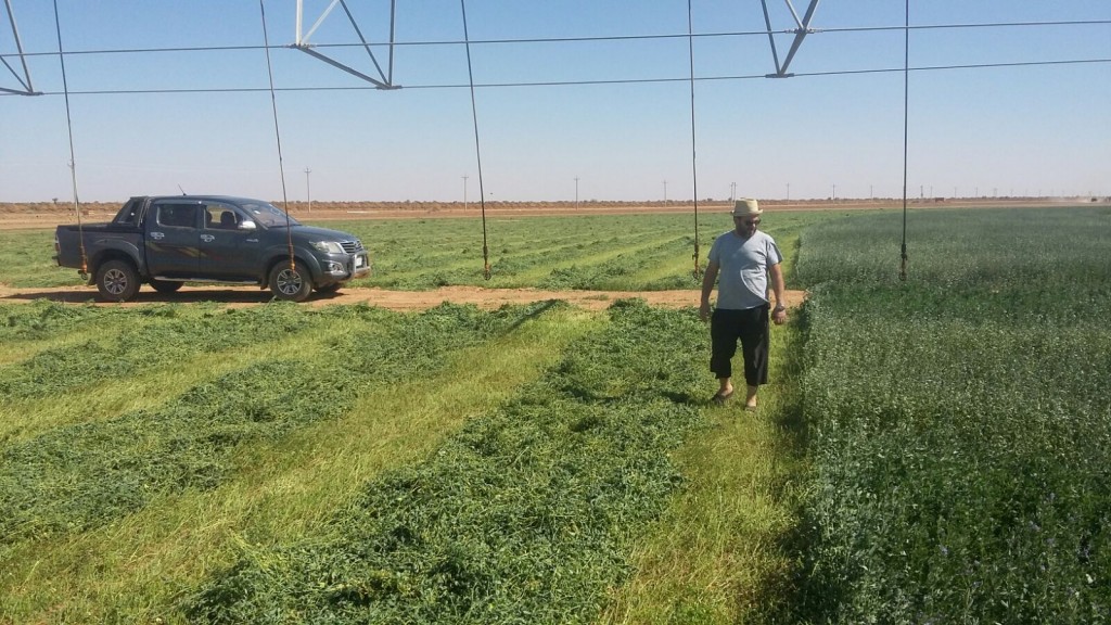atlantis pivot irrigation at sudan