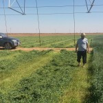 atlantis pivot irrigation at sudan