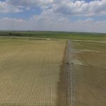 DJI_0010