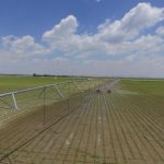 DJI_0019