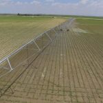 DJI_0021