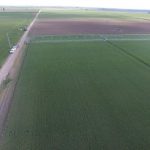 DJI_0042