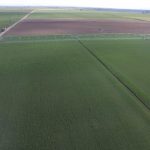 DJI_0043