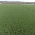 DJI_0044
